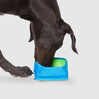 Chill Seeker Freeze-And-Go Water Bowl in Blue, Canada Pooch, Dog Cooling|| color::blue|| size::na