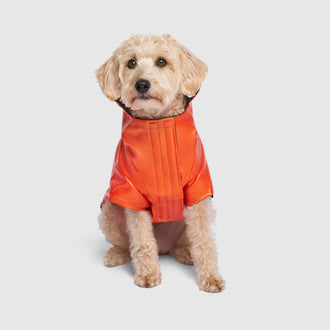 Cold Front Raincoat in Orange, Canada Pooch Dog Coat|| color::orange|| size::16|| name:: Max The Westiepoo|| weight::20