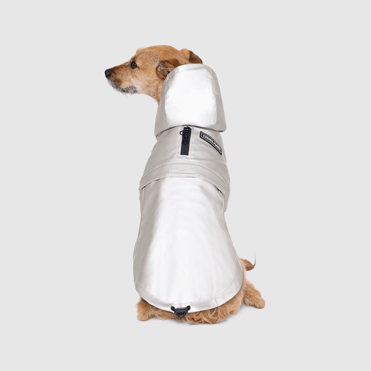 Dog print raincoat online