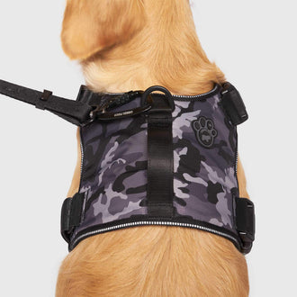 Cotton Dog Harness & Leash Set  PoochMate Blue Stripe Dog Harness