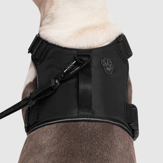 Complete Control Harness in Black, Canada Pooch, Dog Harness|| color::black|| size::XL