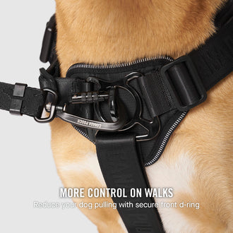 Complete Control Harness in Black, Canada Pooch, Dog Harness|| color::black|| size::na