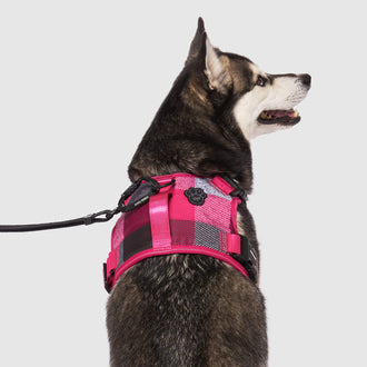 Complete Control Harness in Pink Plaid, Canada Pooch, Dog Harness|| color::pink-plaid|| size::M