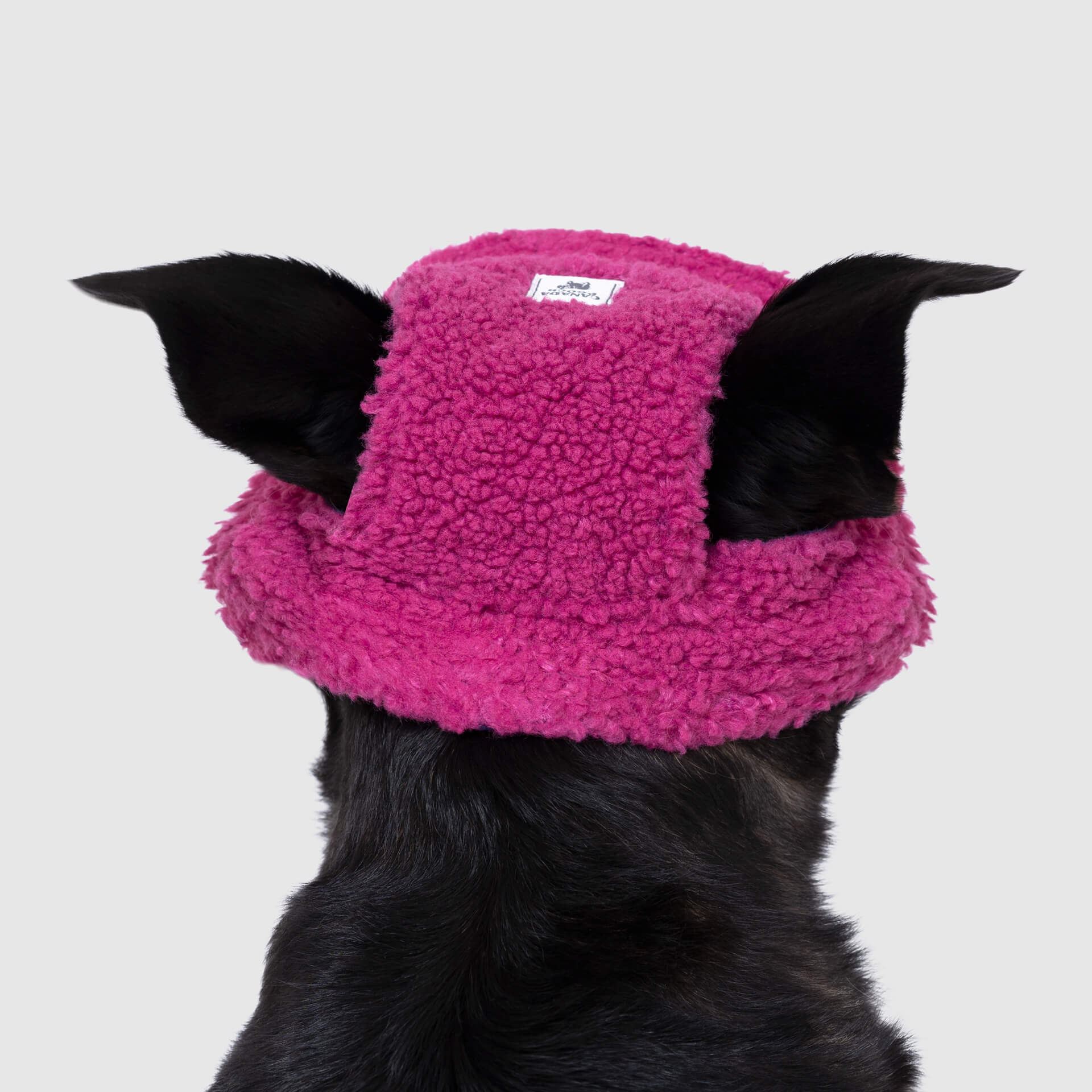 Cool Factor Puppy & Dog Fleece Bucket Hat | Canada Pooch