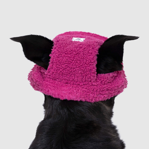Canada Pooch Cool Factor Hoodie for Dogs Canada Pooch Cool Factor Hoodie for Dogs