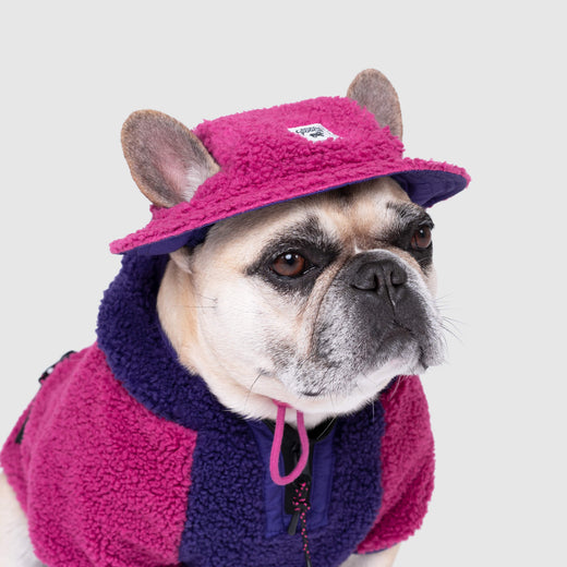Canada Pooch Cool Factor Hoodie for Dogs Canada Pooch Cool Factor Hoodie for Dogs