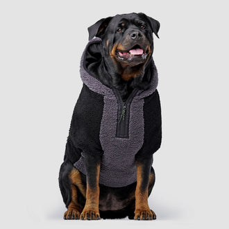 Cool Factor Hoodie in Black Grey, Canada Pooch Dog Hoodie|| color::black-grey|| size::28|| name:: Scout The Rottwieler|| weight::95