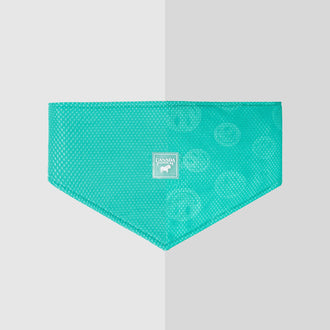 Cooling Bandana Wet Reveal in Wet Reveal Smiley, Canada Pooch, Dog Cooling|| color::green-smiley|| size::na