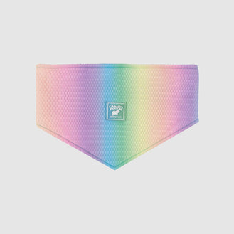 Cooling Bandana in Rainbow, Canada Pooch Cooling Bandana || color::rainbow || size::na