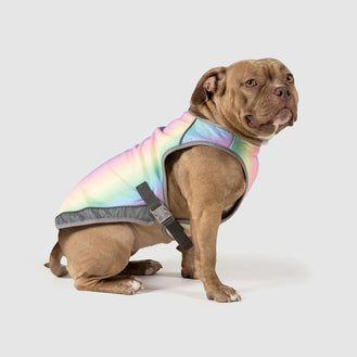 Chill Seeker Cooling Vest in Rainbow, Canada Pooch Dog Cooling Vest 