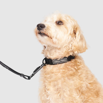 Utility Collar in Black, Canada Pooch Dog Scarf|| color::black || size::M || name::Max The Westiepoo || weight::20