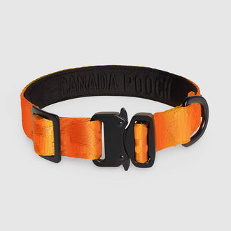 Utility Collar in Orange, Canada Pooch Dog Collar|| color::orange || size::na || name::na || weight::na