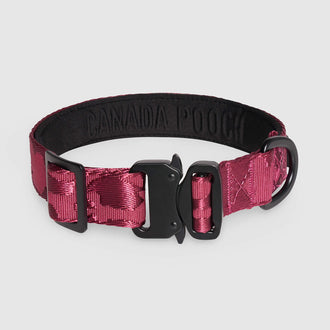 Utility Collar in Plum, Canada Pooch Dog Collar|| color::plum|| size::na || name::na|| weight::na