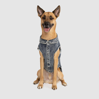 Downtown Denim Vest in Blue, Canada Pooch Dog Denim Vest || color::blue || size::28