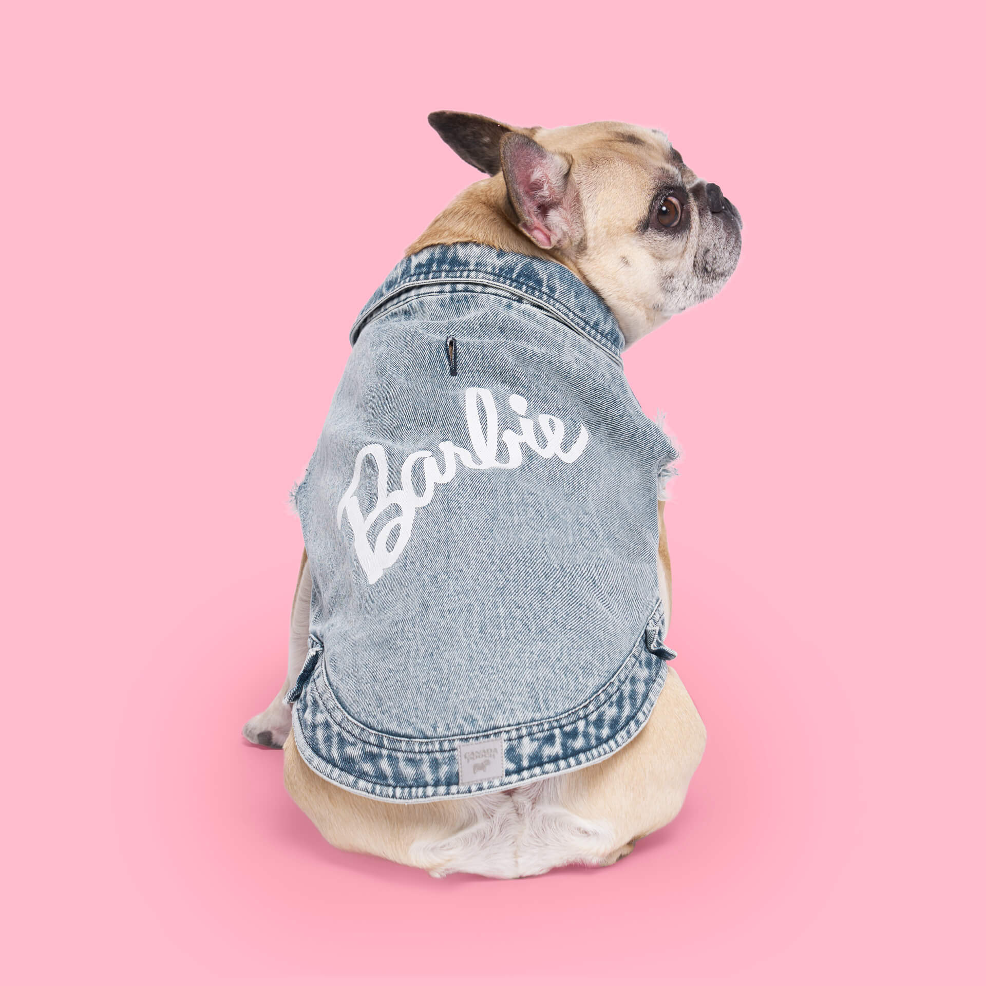 Pug barbie hotsell