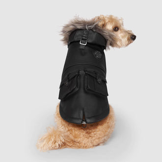 Eco+ Alaskan Army Parka in Black, Canada Pooch Dog Parka|| color::black|| size::14|| name:: Max the Westipoo || weight::20