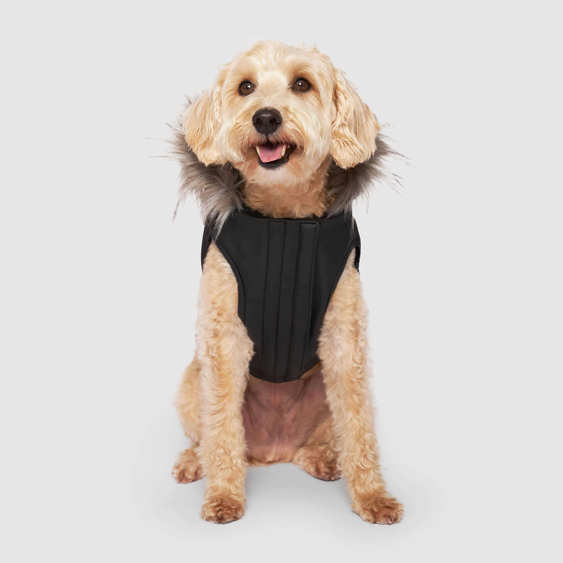 Eco+ Alaskan Army Parka - Sustainable Dog Coat | Canada Pooch