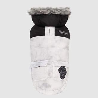 Eco+ True North Parka in marble, Canada Pooch, Dog Parka|| color::marble || size::na