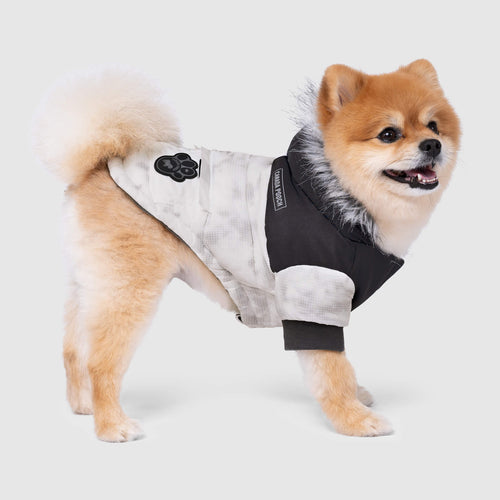 Eco+ True North Parka in Marble, Canada Pooch Dog Parka|| color::marble|| size::12|| name:: Furrari The Pomeranian|| weight::9