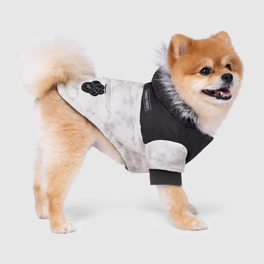Eco+ True North Parka in Marble, Canada Pooch Dog Parka