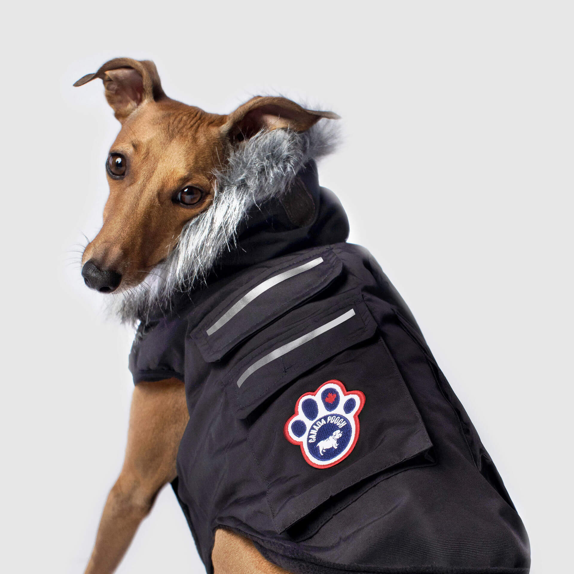 KESHO ABE ハスキー犬柄　スキーウェア　セットアップ ダウンジャケット Everest Explorer Warm Fur Dog Vest | Canada Pooch