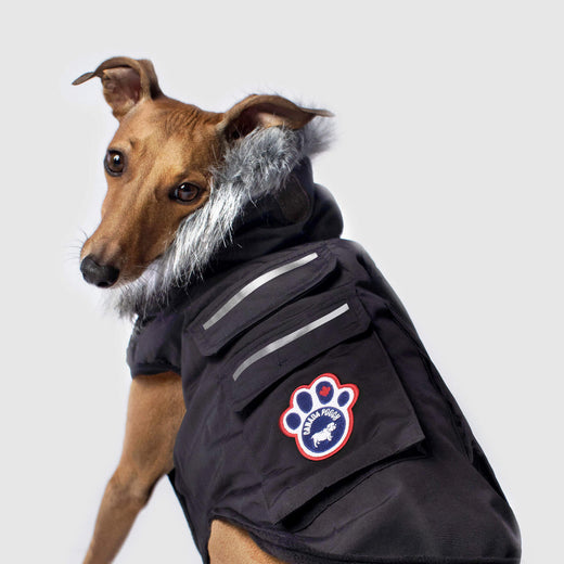 Mountaineer Waterproof Fashion Dog Coat – Insulated Winter Jacket For Pets – Dog Helios JKHL2