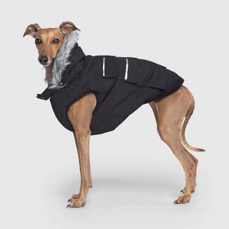 Everest Explorer Dog Vest in Black, Canada Pooch Dog Vest 