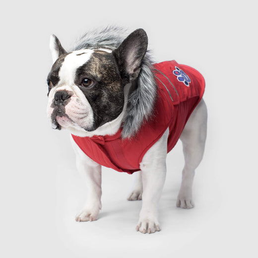 Canada pooch online everest explorer jacket