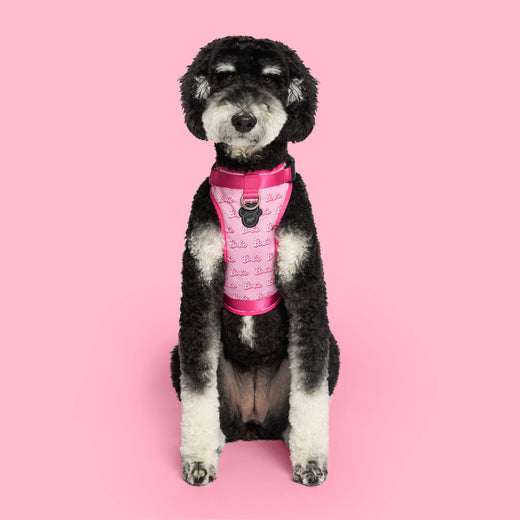 Canada Pooch Barbie Puppy Plush Dog Toy - Feeders Pet Supply