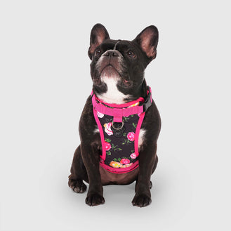 Everything Harness Water Resistant Series in Floral, Canada Pooch Dog Harness