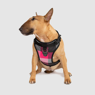 The Everything Dog Harness in Pink Plaid, Canada Pooch Dog Harness 