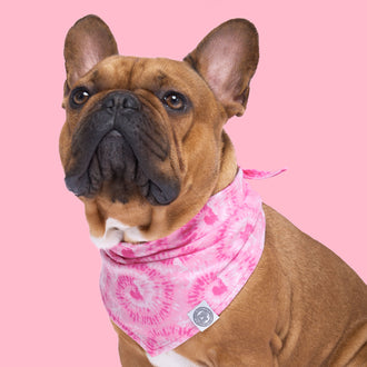 Barbie Follow Me Bandana, Canada Pooch Dog Bandana|| color::tie-dye|| size::L/XL|| name:: Jocko the French Bulldog|| weight::37