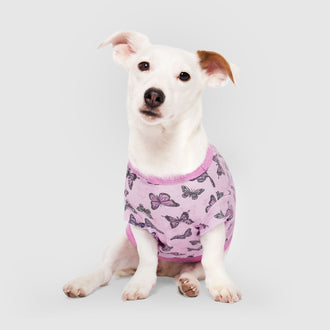 Follow Me Tee in Butterfly, Canada Pooch Dog T Shirt|| color::butterfly|| size::14|| name::Mixed Rescue|| weight::16