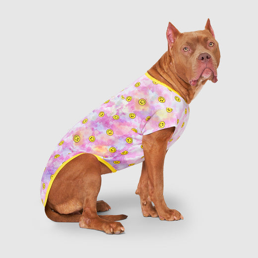 Follow Me Tee UV Reveal in Tie Dye Smiley, Canada Pooch Dog T Shirt
