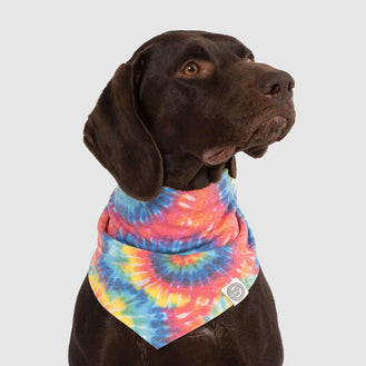 Follow Me Dog Reversible Bandana in Tie Dye Print, Canada Pooch 