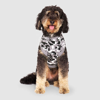 Glow-in-the-Dark Sweater in Glow-In-The-Dark Camo, Canada Pooch Dog Sweater|| color::glow-in-the-dark-camo|| size::26|| name:: Sully the Bernedoodle|| weight::81