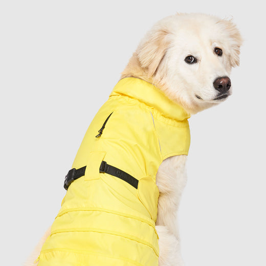 Imperméable Pour Chien Jaune – Léger, Ajustable, Capuche, Pour Pluie Et Neige, Tailles S à XL