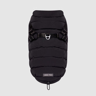 Harness Puffer in Black, Canada Pooch, Dog Parka|| color::black|| size::na