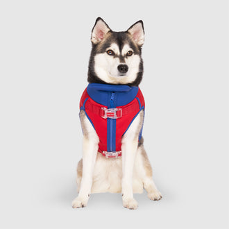 High Tide Life Jacket in Red Blue, Canada Pooch Dog Life Jacket|| color::red-blue|| size::18|| name:: Kai the Klee Kai|| weight::26