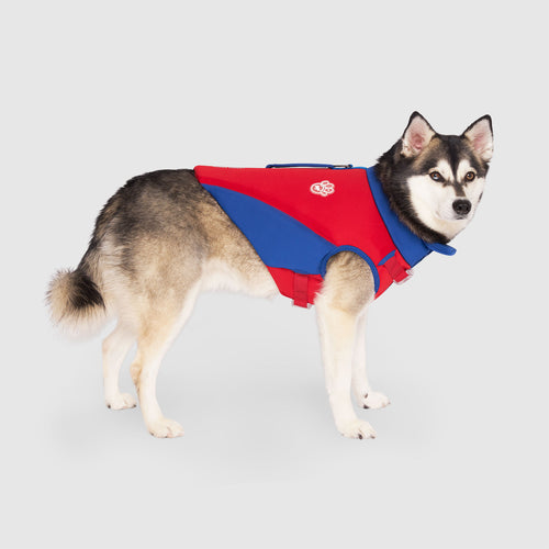 High Tide Life Jacket in Red Blue, Canada Pooch Dog Life Jacket|| color::red-blue|| size::18|| name:: Kai the Klee Kai|| weight::26