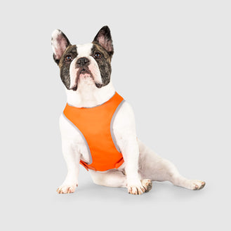 High Visibility Safety Vest in Orange, Canada Pooch Dog High Visibility Safety Vest 