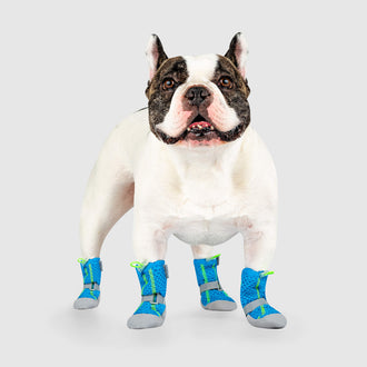 Hot Pavement Boots in Blue Green, Canada Pooch Dog Boots|| color::blue-green|| size::3|| name:: Bob the French Bulldog|| weight::55