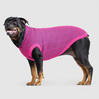 Icon Sweater Dog Sweater in Pink Navy, Canada Pooch Dog Sweater 