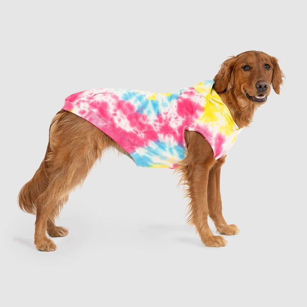 Tie dye dog sweater on sale