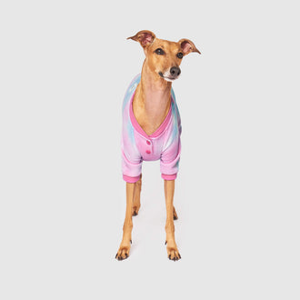 Waffle Onesie in Pink Blue, Canada Pooch Dog Onesie|| color::pink-blue|| size::12|| name:: Joey The Italian Greyhound|| weight::14