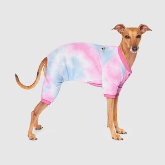 How To Choose The Right Sized Greyhound Pyjamas