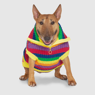 Over the Rainbow Sweater in Rainbow Stripe, Canada Pooch Dog Sweater|| color::rainbow-stripe|| size::20|| name:: Phoenix the English Terrier|| weight::38