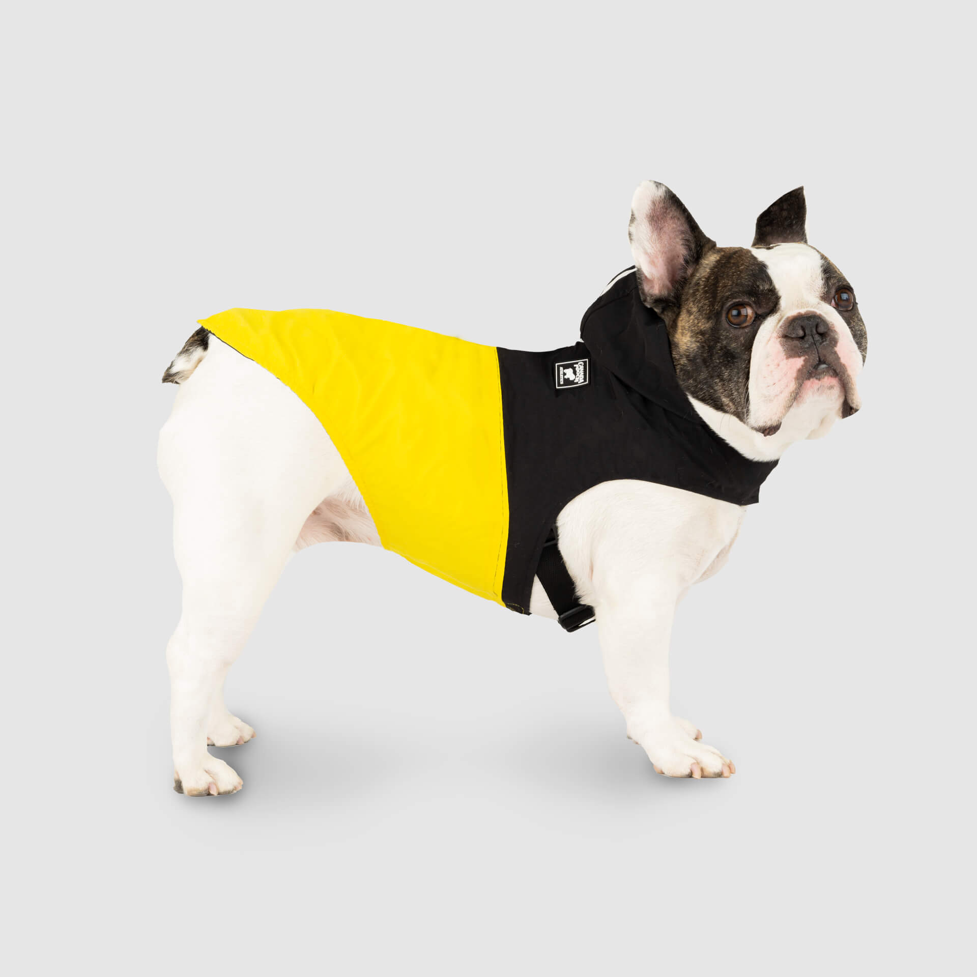 Dog coat with pockets discount