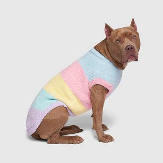 Pastel Party Sweater in Rainbow, Canada Pooch Dog Sweater