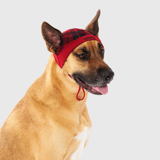 Patterned Beanie in Red Plaid, Canada Pooch Dog Hat|| color::red-plaid || size::XL || name:: Dawson the Boxsky || weight:: 76